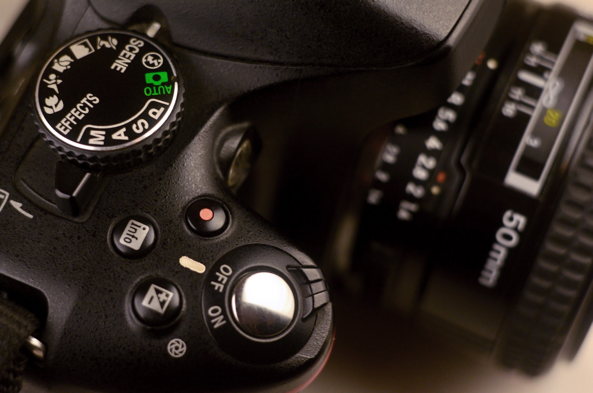 5 Reasons Why Having High-Quality Photos On Your Website Is Crucial