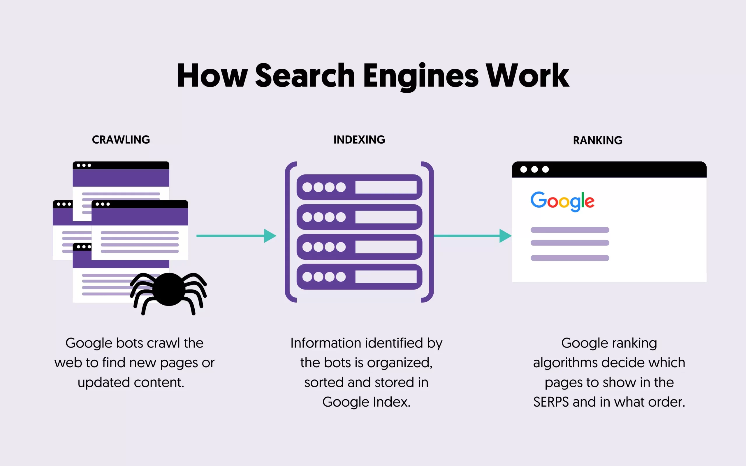 Understanding the Basics of Search Engine Algorithms