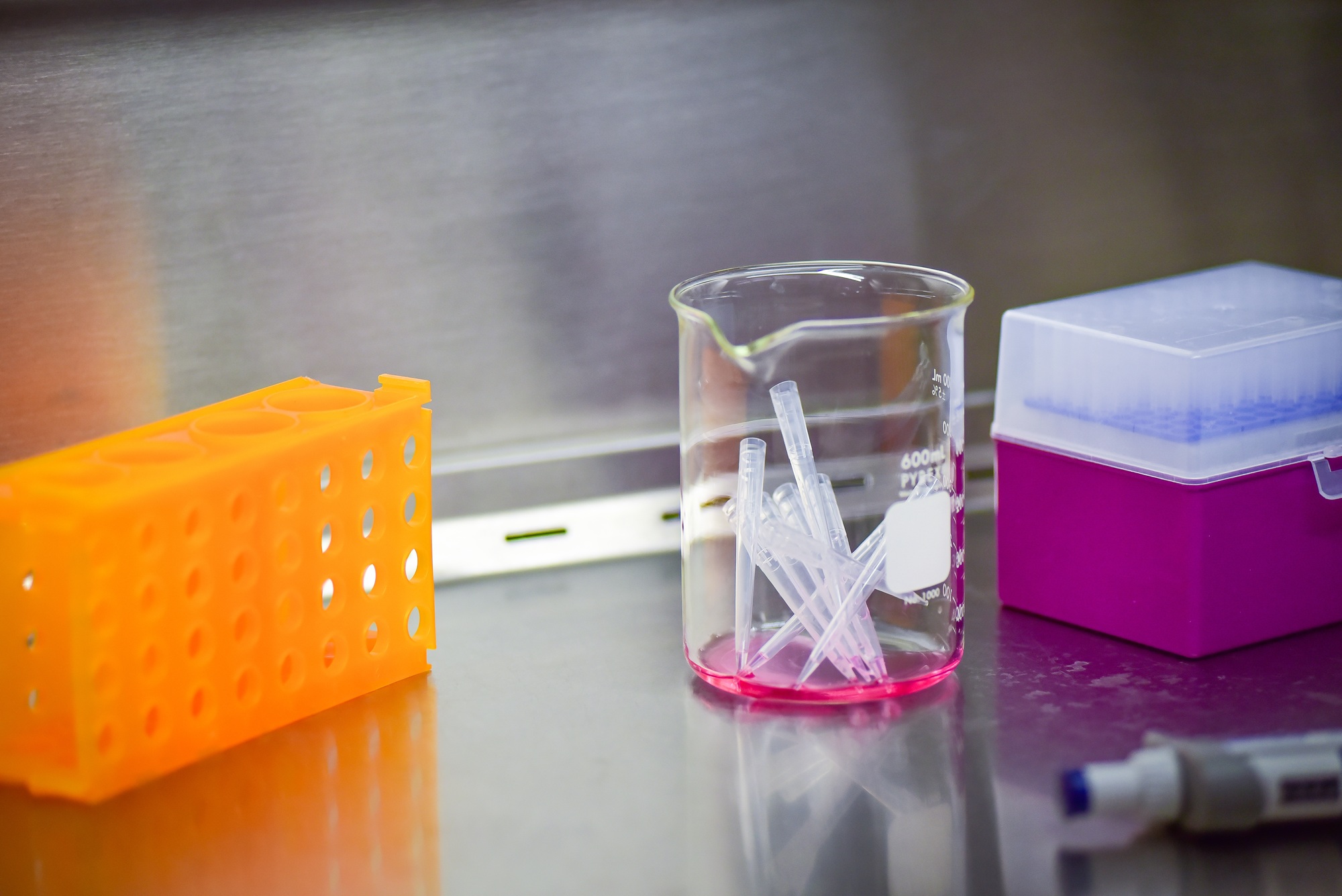 7 Popular Photography Tips That Wasted My Time (And What Actually Works)