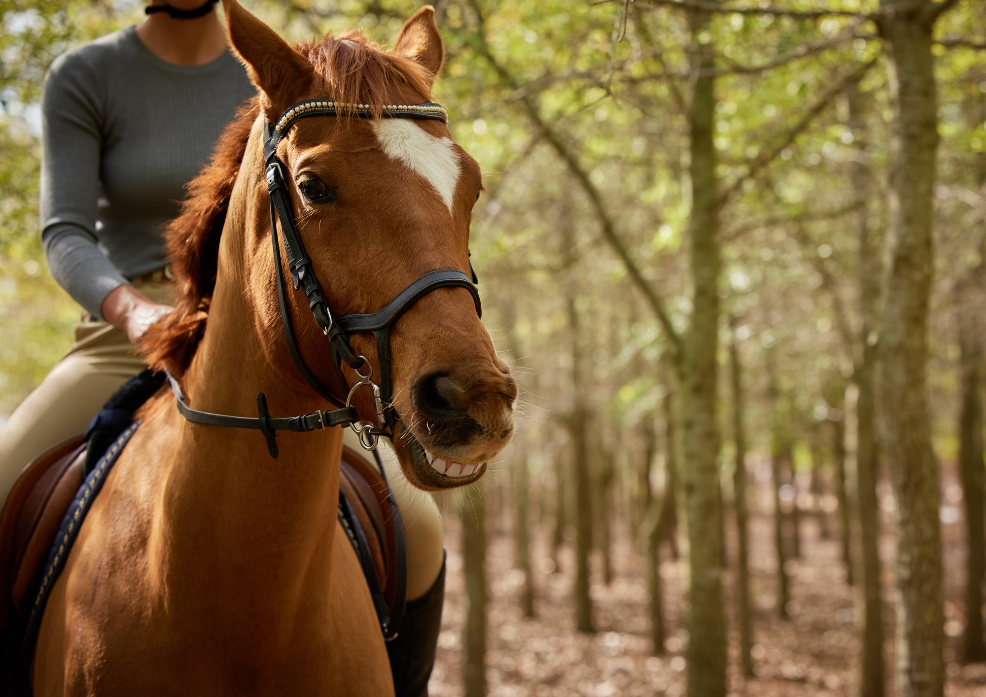 How to Know If You’re Good at Photography: 11 Clear Signs