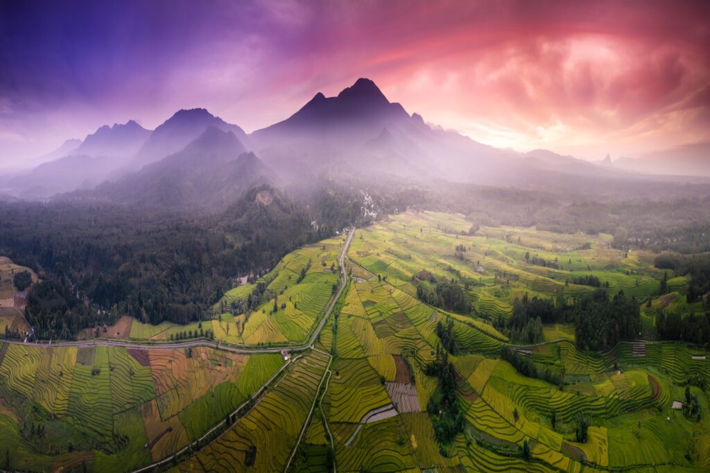 the natural beauty of Indonesia where the mountain range and extensive rice fields with forests that