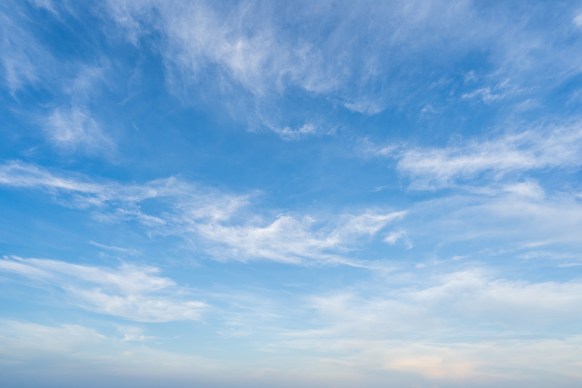 VE Digital: Driving Business Growth Through Innovative Digital Solutions